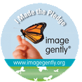 igpledge-ImageGently